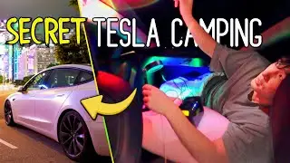 STEALTH CAMPING in a Tesla Model 3 (Full Setup Tour!)