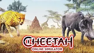 The Cheetah: Online RPG Animal Simulator - Gameplay Walkthrough Part 14 (iOS, Android