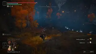 ELDEN RING Perfect Invisible Scarab Kill.