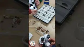 Hands-on science workshop for kids.