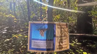 David Kanietakero n Faddens book on a trail #hike #outdoor #wisdomtales #nature #mohawkartist