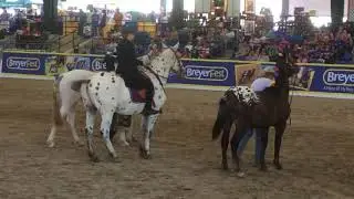 Breyerfest 2018