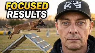 We trained a malinois for agility, this is what we got