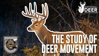 Bear Archery Podcast Ep. 171: The Study of Deer Movement