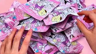 [🎀toy ASMR🎀] Sanrio Mystery bags Unboxing! ✨Who Will We Get? 🎁✨