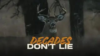 SPYPOINT - DECADES DON'T LIE