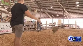 How far can you throw a bale of hay?