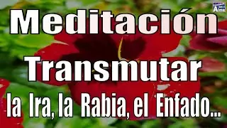 Meditación. Transmutar la Ira, la Rabia, el Enfado...