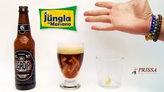 ¿Sabes servir cerveza?
