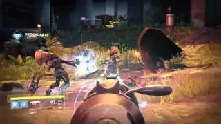 Into the jungle  Yr 2 TTK - Destiny