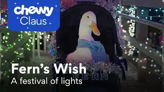 Chewy Claus Turns a Rescue Duck&rsquo;s Wish into a Dazzling Festival of Lights