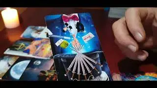 Време за избори💫💫💫