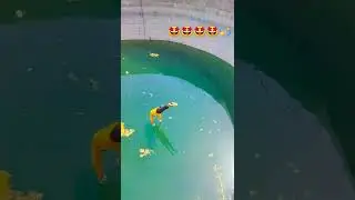 swimming time ☺️#marathi song mla udu udu zalya