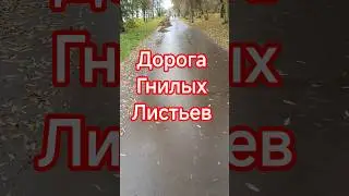 Дорога Гнилых Листьев A road of rotten leaves #shorts #trash #city #view #street #omg