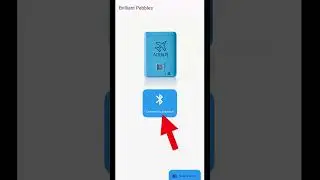 Brilliant Pebbles Basic Setup