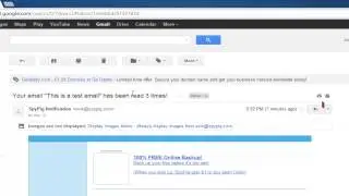 How to Report Email Scams