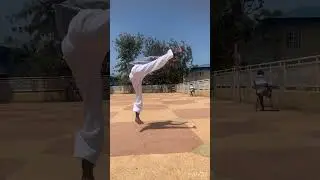 Reverse Turning kick #fighter #hookkick #karate #teakwondolifestyle #taekwondo #martialarts #fyp