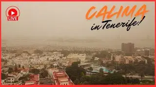 🔴LIVE: &ldquo;Worst Calima for YEARS!&rdquo;- TERRIBLE & Dangerous WEATHER in Tenerife 💨 Canary Islands