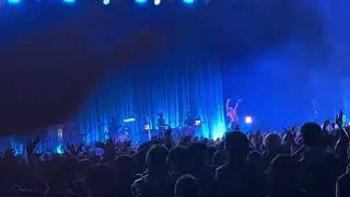 IGGY POP  2025 3/30   PUNKSPRING 2025         