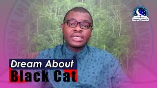 DREAM ABOUT BLACK CAT - Find Out The Biblical Dream Meaning