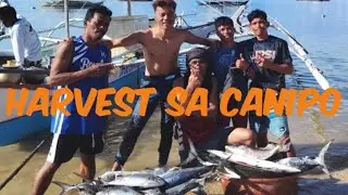 Spearfishing Canipo Island  with Anthony Rabanal #joyadventures and Native Channel and Batang Spearo