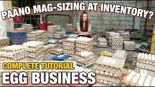 PAANO KAMI MAG-INVENTORY AT SIZING SA EGG BUSINESS? Complete Tutorial-Philippines | Tinmay Arcenas❤️