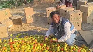 Rajapur Bihar Ke Liye Ajj Bhada mila 🥰🥰