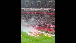 Poland v Netherlands hooligans #talesofthebeautifulgame