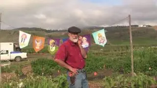 Getting started in Agroforestry