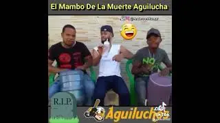 LICEY DIGAME QUE ACEMO