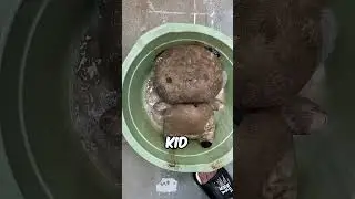 My Sisters Lost Teddy Bear Gets the Most Satisfying Deep Cleaning Ever 🧸✨