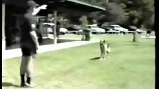 Ross Allan Training with Apache (Vonehrlich Greco C.D.X).