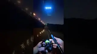 Lure straight handle spinning reel fancy ejection casting