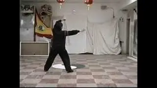 Fu Style BaGua Staff