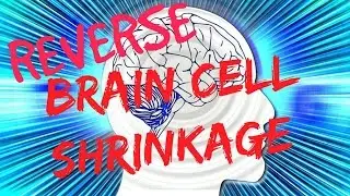 Brain Cell Shrinkage - You Can Reverse Brain Cell Shrinkage!