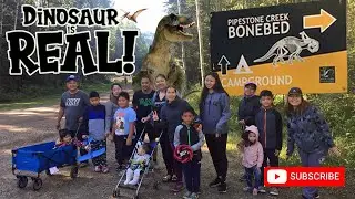 DINOSAUR is REAL !!!!  Bonebed dinosaur #pipestonecreek