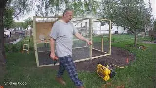 Chicken Coop with run, Day 6