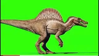 Spinosaurus Roar, Walk, Wake up, Eat and Fight - Dinosaur Green Screen