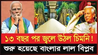 ভারতীয় চিনির দিন শেষ, চিনিকল চালু করলো বাংলাদেশ | Sugar Mill | Dr Yunus | Bangladeshi News