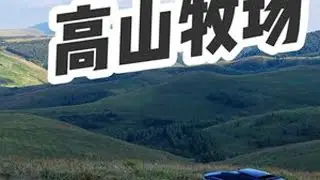 车友成对 快乐加倍#自驾游旅行 #凡尔赛c5x#法系车#雪铁龙#旅行车