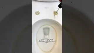 Toilet Cleaning: CleanTok Approved