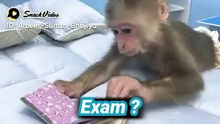 exam time ||Kashif tech