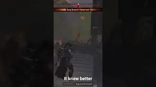 I wouldn't wanna fight me neither #helldivers2 #gaming #wtf #nothadley
