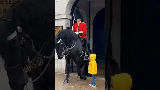 The Moment No One Expected at Buckingham Palace