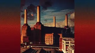 Pink Floyd - Dogs