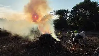 PENABURAN PADI YANG KE DUA