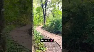 Summer Hiking in Texas  - Trailhead Scenery  #nature #wildernesswanderer #hikingpaths #hikingroutes