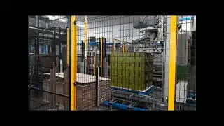 End of Line Packaging Solutions by Robopac USA