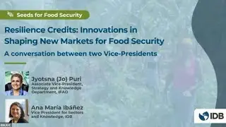 Resilience Credits: Innovations in Shaping New Markets for Food Security