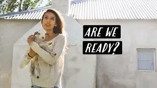 A Day In The Life Of Sheep Farmers | Loading Sheep | KAROO KIDS